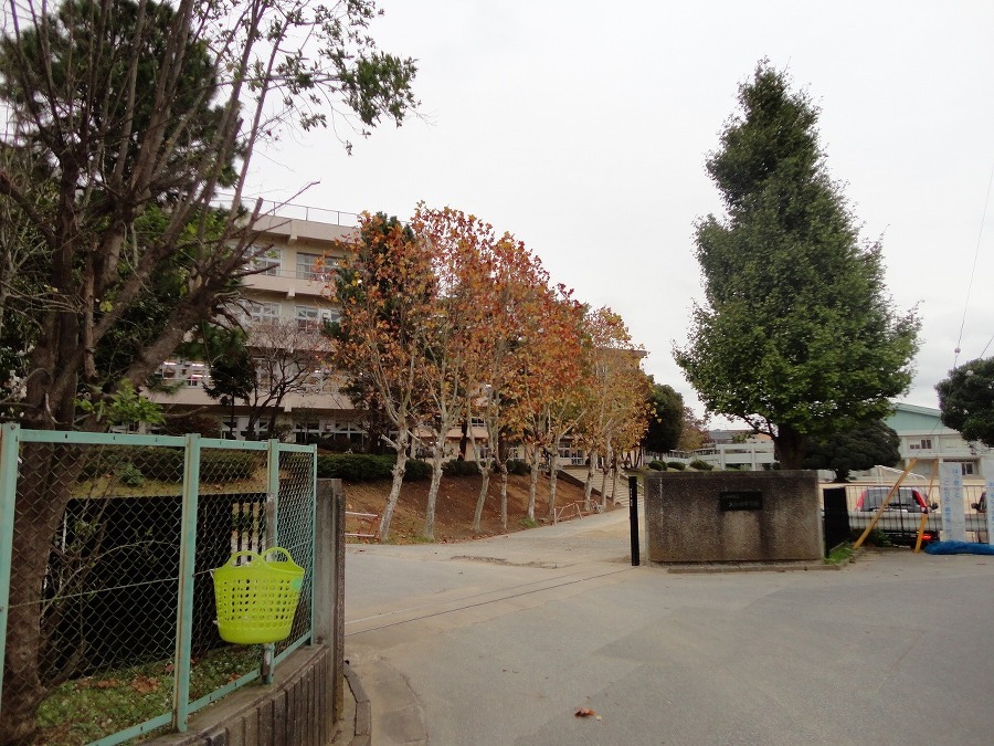 大和田中学校 1500m 大和田中学校です。ちょっと遠いのですが環境抜群ですよ