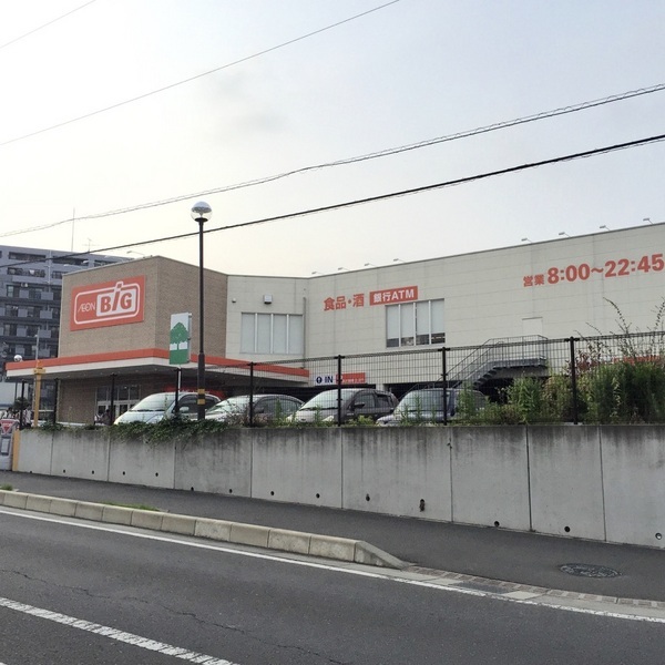 ザ・ビッグ平塚真田店まで110m
