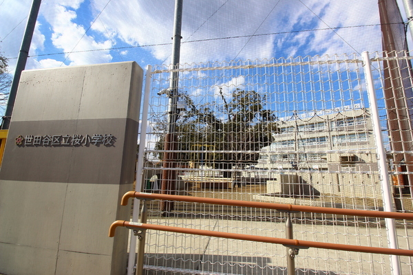 世田谷区立桜小学校