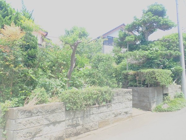 船橋市飯山満町3丁目の物件画像