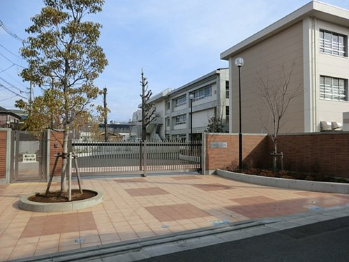 川崎市立さくら小学校 320m 