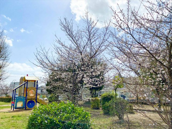 桜川公園 210m 