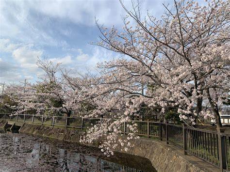 こざと公園 270m こざと公園 270m