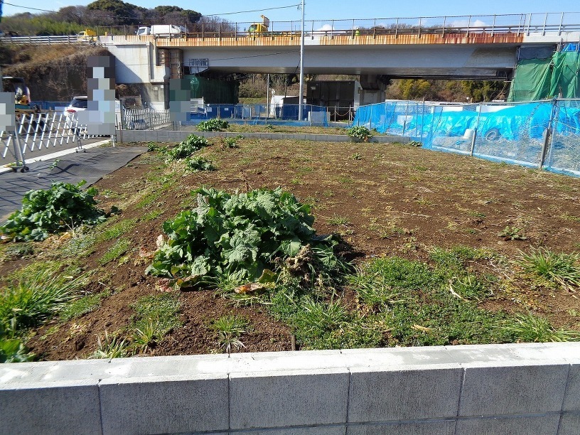 平塚市下吉沢　23-P1