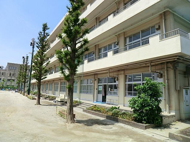市立大洲小学校 880m 市立大洲小学校 880m