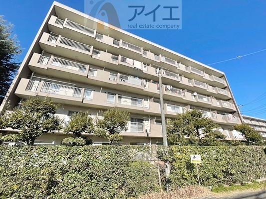 柏市大井