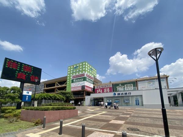 アツギトレリス