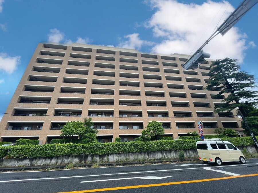 柏市柏