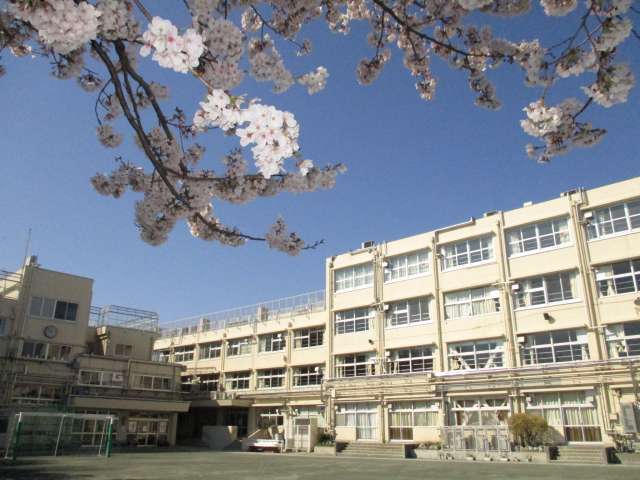 世田谷区立松原小学校 700m 