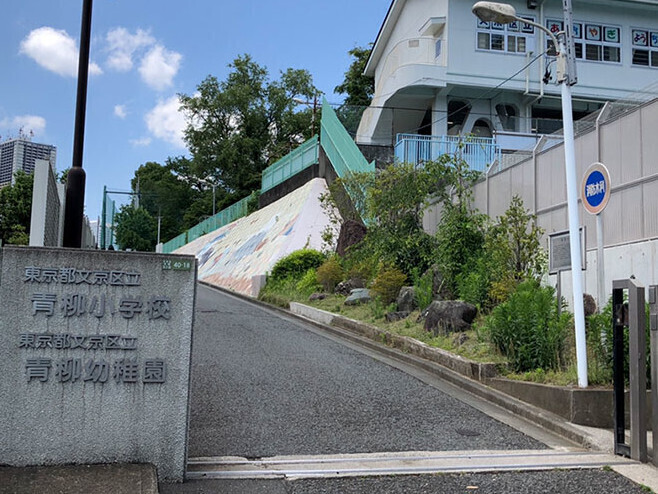 文京区立青柳小学校 900m 