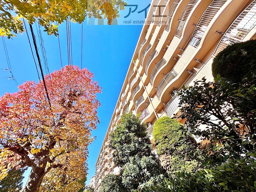 松戸市新松戸3丁目