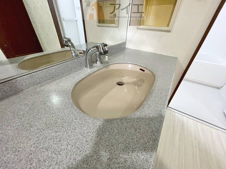 ハンドシャワー付き、使いやすい洗面台