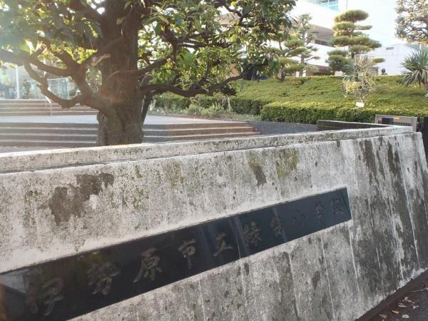 伊勢原市立緑台小学校