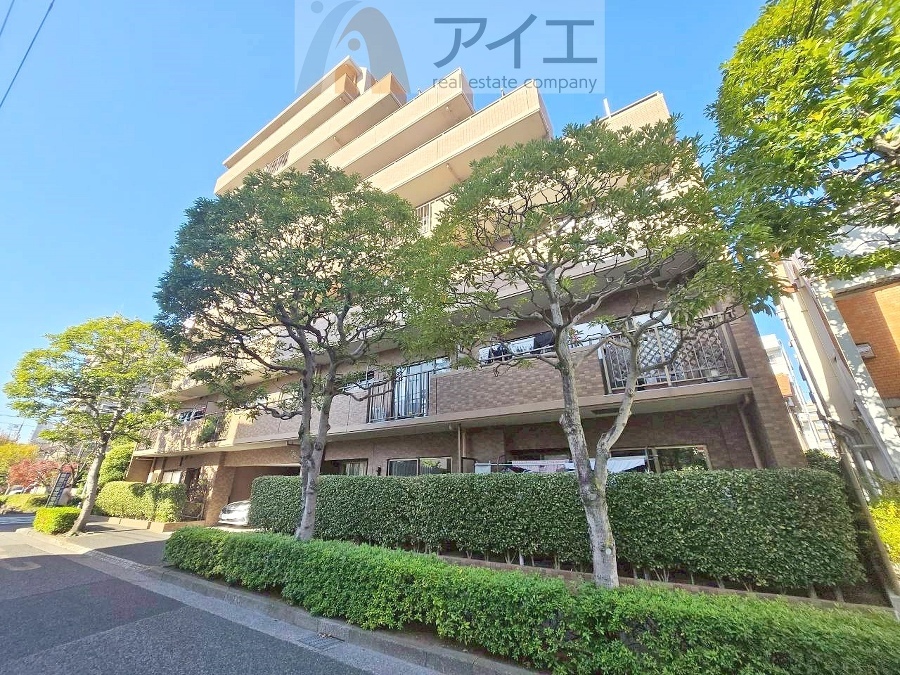 前面道路は歩道も整備され、小さなお子様にも安心