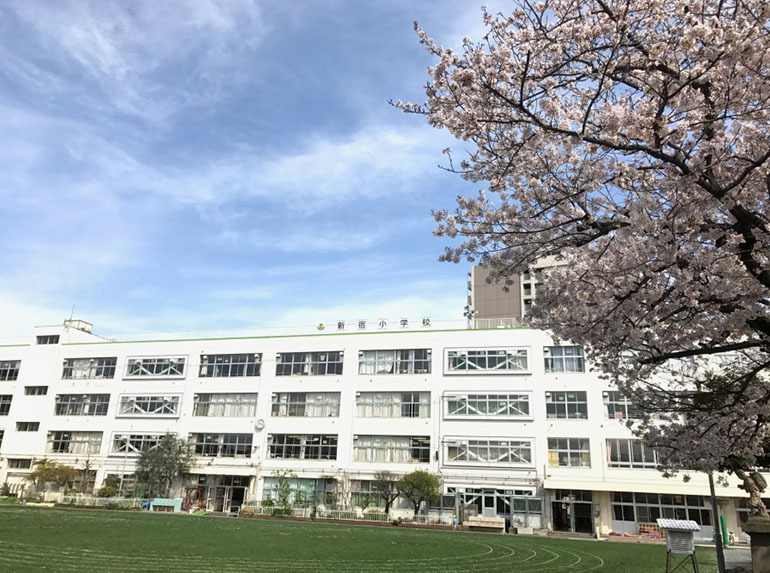 大田区立新宿小学校 450m 