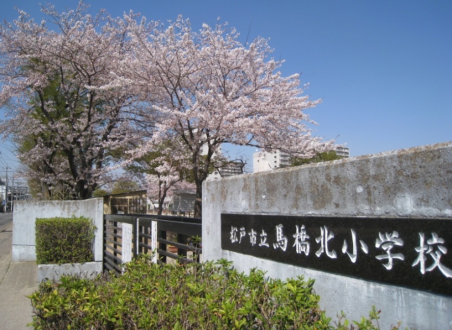 松戸市新松戸３丁目