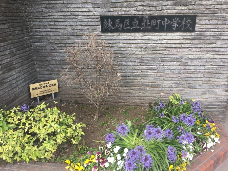 練馬区立北町中学校 500m 