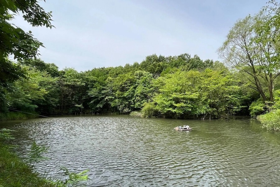 区立赤羽自然観察公園 890m 