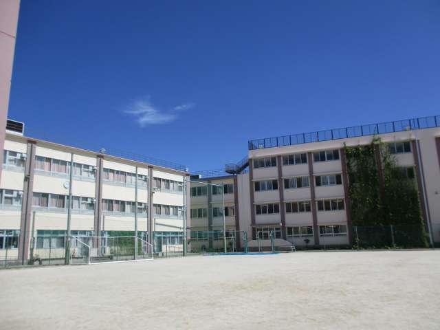 板橋区立蓮根図書館 500m 