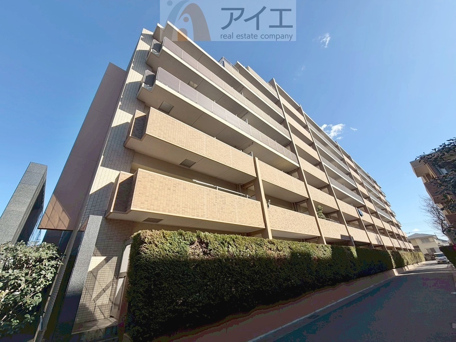 柏市花野井