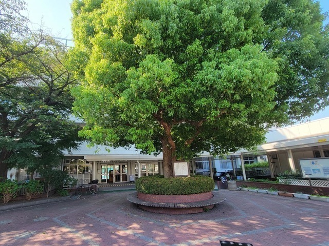 大田区立南六郷小学校 620m 