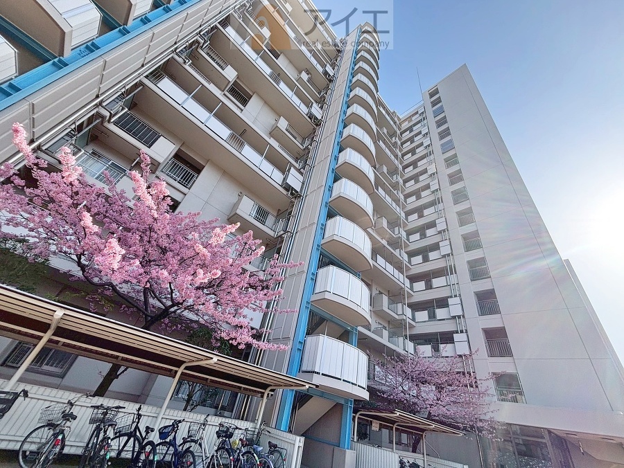 友人を呼びたくなるリノベーション済みのきれいな住まいです