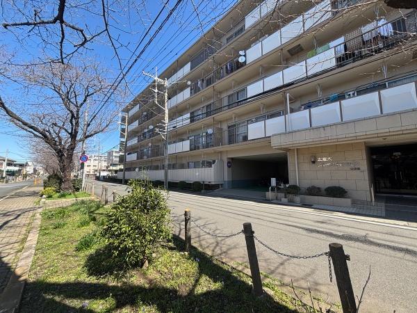 歩道が整備されており明るい印象の前面道路