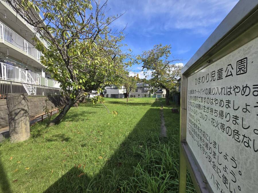 公園が近く、子育て家族に嬉しい緑豊かな環境です
