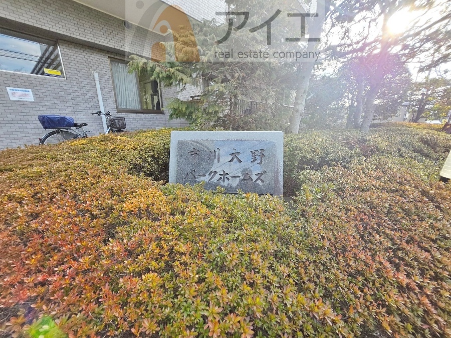 風通しが良く、開放感あふれるお部屋です
