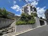 文京区千駄木３丁目の画像