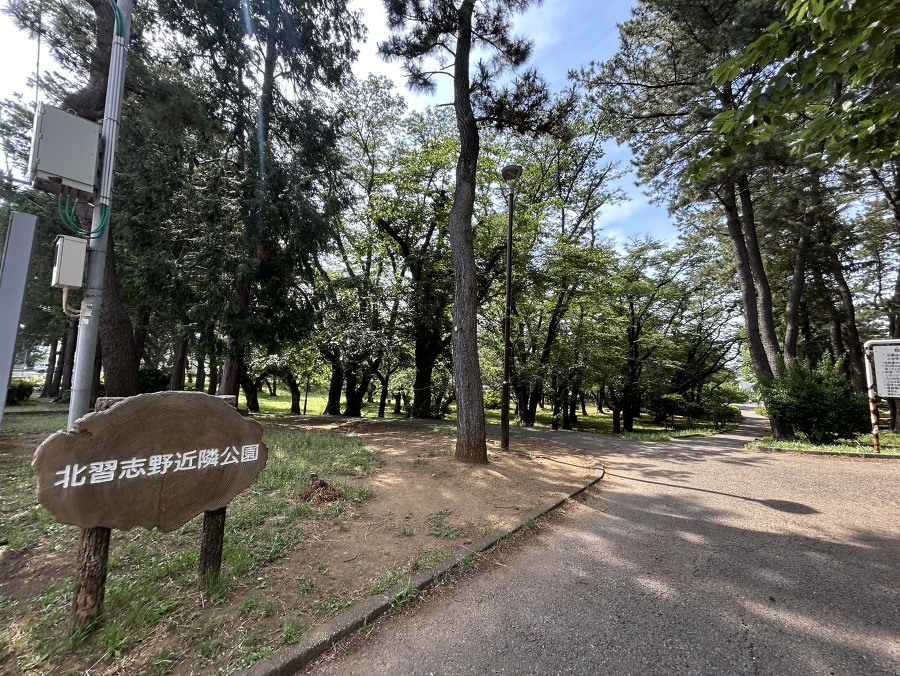公園が近く、子育て家族に嬉しい緑豊かな環境です