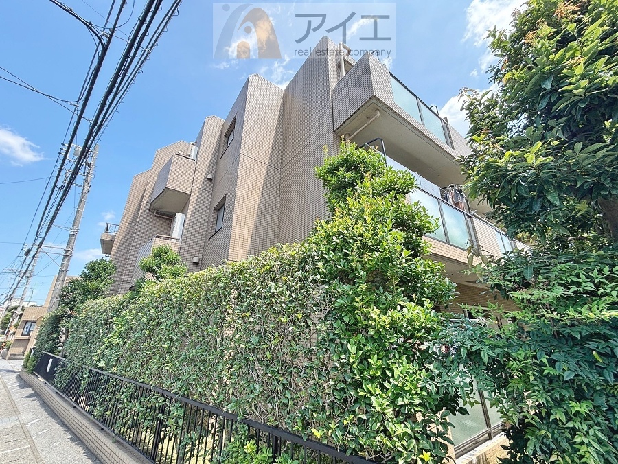 風通しが良く、開放感あふれるお部屋です