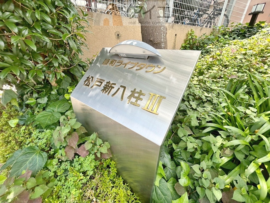 溢れる陽光でご家族の笑顔も輝く住まい