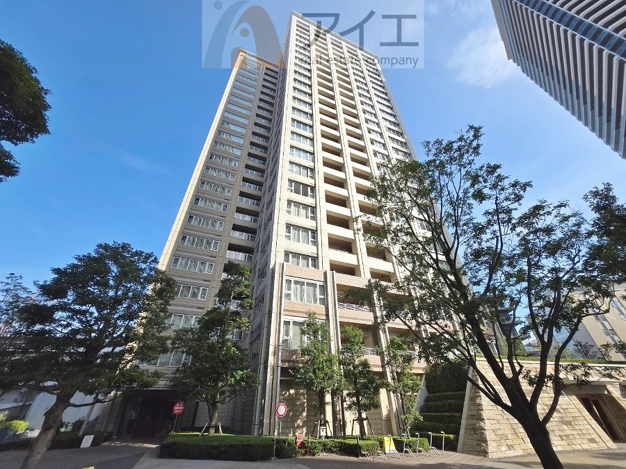 柏市若柴