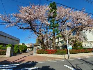 練馬区立練馬中学校 650m 
