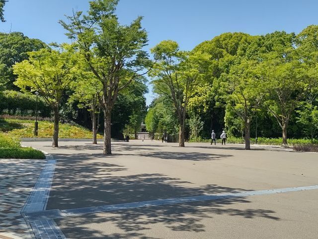 東京都立練馬城址公園 80m 