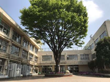 練馬区立田柄小学校 550m 