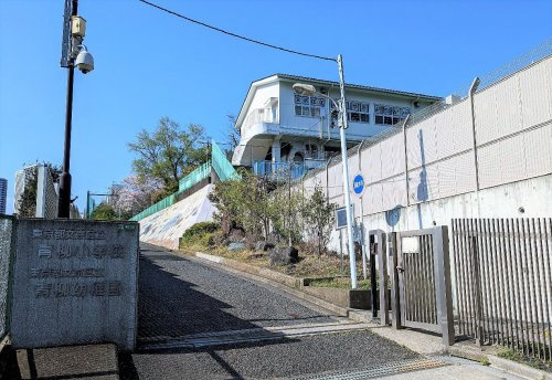 文京区立青柳小学校 650m 