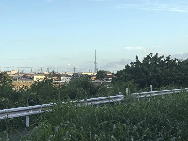スカイツリーが望めます！