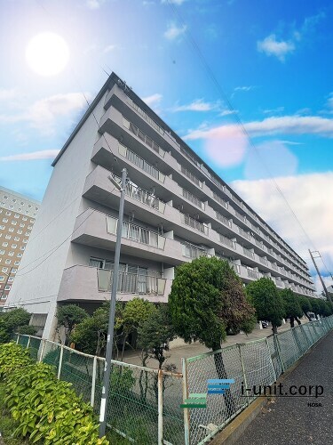 原木キャピタルコータス
