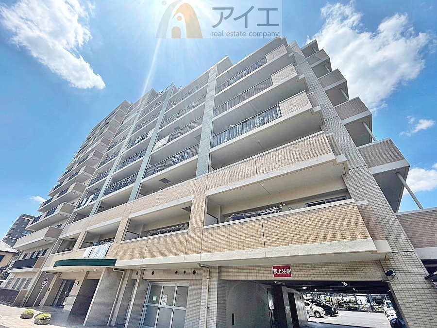 柏市豊四季