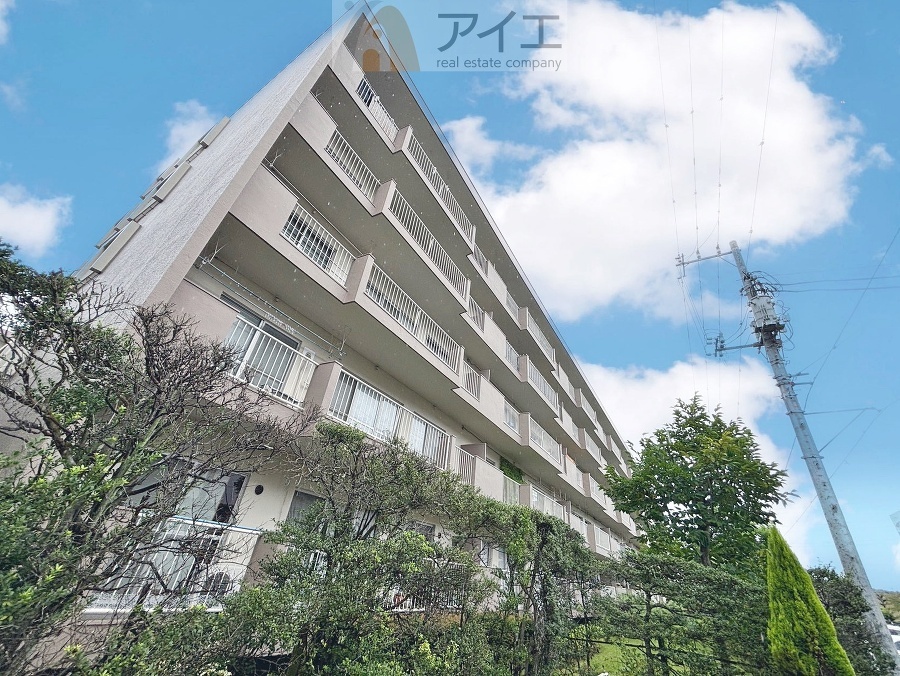 柏市大井