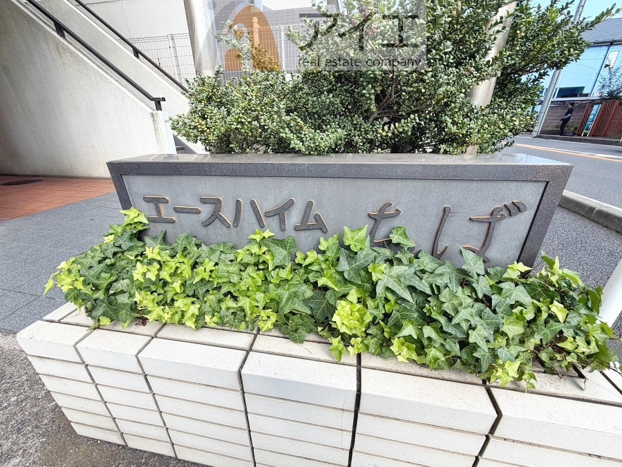 溢れる陽光でご家族の笑顔も輝く住まい