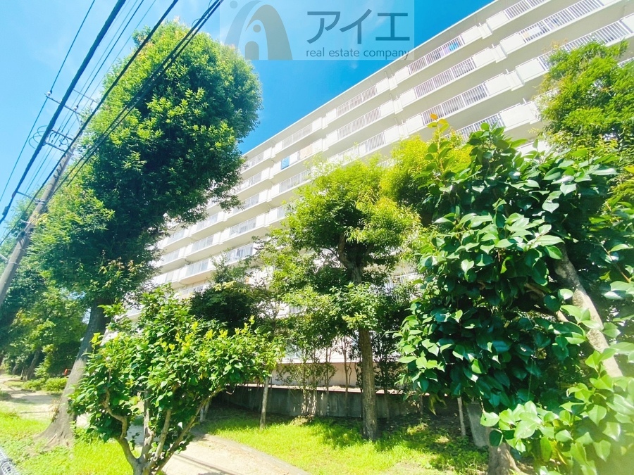 松戸市八ヶ崎2丁目